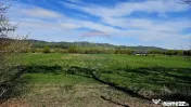 Teren 10,000mp Nemtisor / DJ 155C 