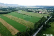 Teren 10,000mp Nemtisor / DJ 155C 