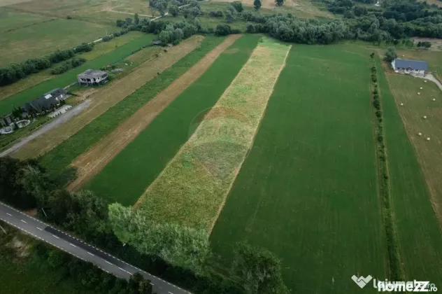 Teren 10,000mp Nemtisor / DJ 155C - Nemtisor (Neamt)