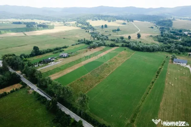 Teren 10,000mp Nemtisor / DJ 155C - Nemtisor (Neamt)