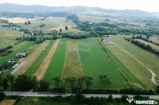 Teren 10,000mp Nemtisor / DJ 155C - Nemtisor (Neamt)