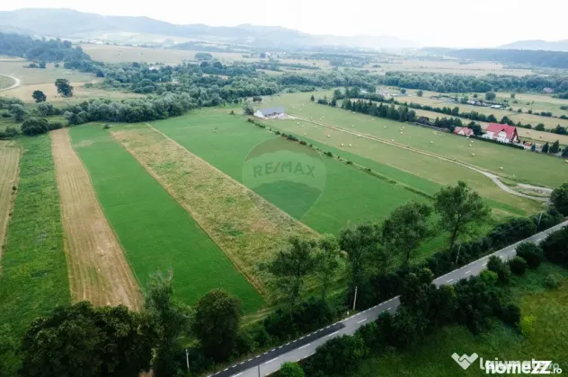 Teren 10,000mp Nemtisor / DJ 155C - Nemtisor (Neamt)