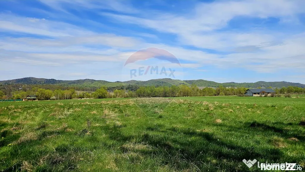 Teren 10,000mp Nemtisor / DJ 155C - Nemtisor (Neamt)