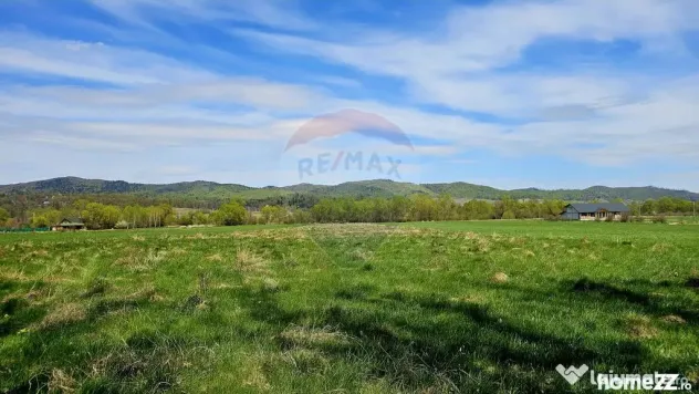 Teren 10,000mp Nemtisor / DJ 155C - Nemtisor (Neamt)