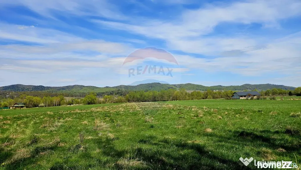 Teren 10,000mp Nemtisor / DJ 155C - Nemtisor (Neamt)