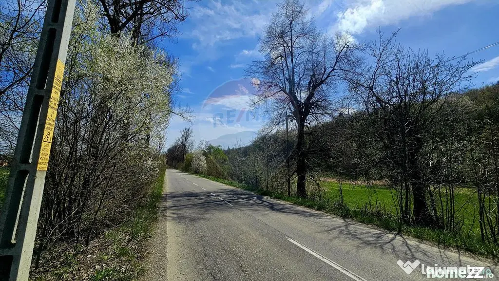 Teren 10,000mp Nemtisor / DJ 155C - Nemtisor (Neamt)