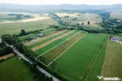Teren 10,000mp Nemtisor / DJ 155C