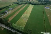 Teren 10,000mp Nemtisor / DJ 155C