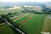 Teren 10,000mp Nemtisor / DJ 155C 