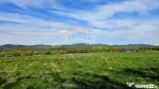 Teren 10,000mp Nemtisor / DJ 155C 