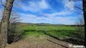 Teren 10,000mp Nemtisor / DJ 155C 