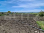 Nazna | Casă + 2900 mp teren 