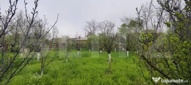 ???? Casa Găești – Aproape de Centru, 1600 mp Teren Gene