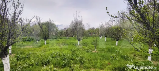 ???? Casa Găești – Aproape de Centru, 1600 mp Teren Gene