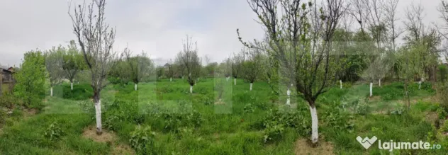 ???? Casa Găești – Aproape de Centru, 1600 mp Teren Gene