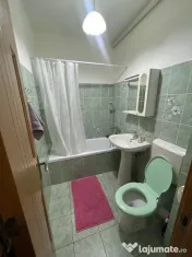 Aparatorii patriei dimitrie leonida boian 