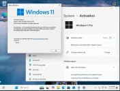 Stick USB Bootabil cu Windows 10 sau 11 - Licenta Inclusa 