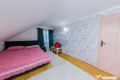 Casă spațioasă în Satu Nou de Jos – Posibilitate sc...
