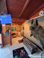 Casă tip vilă P+M de vânzare, 120 mp, zona Bunloc 