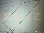 Teren intravilan 11.500 mp | La asfalt | Zonă bună | Oport