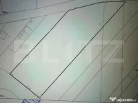 Teren intravilan 11.500 mp | La asfalt | Zonă bună | Oport 