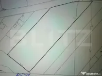 Teren intravilan 11.500 mp | La asfalt | Zonă bună | Oport