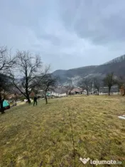 Casa reconsolidată cu teren generos — Oportunitate excele 