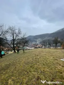 Casa reconsolidată cu teren generos — Oportunitate excele