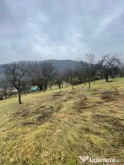 Casa reconsolidată cu teren generos — Oportunitate excele 