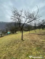 Casa reconsolidată cu teren generos — Oportunitate excele 