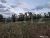 Teren 500 mp, Goruni 