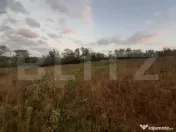 Teren 500 mp, Goruni 