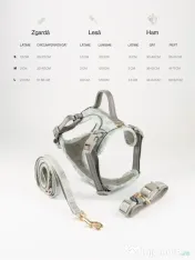 Signature Walk Set Gri BRAUBRAU pentru Câini 