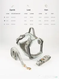 Signature Walk Set Gri BRAUBRAU pentru Câini 