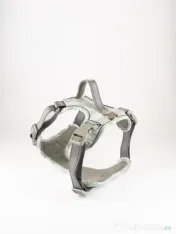 Signature Walk Set Gri BRAUBRAU pentru Câini 