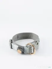 Signature Walk Set Gri BRAUBRAU pentru Câini 