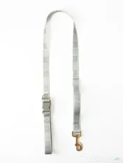 Signature Walk Set Gri BRAUBRAU pentru Câini 