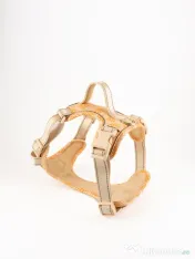 Signature Walk Set Crem BRAUBRAU pentru Câini 