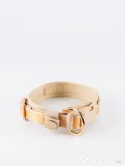 Signature Walk Set Crem BRAUBRAU pentru Câini 