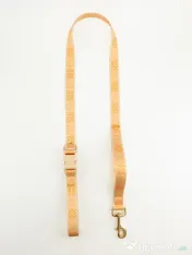 Signature Walk Set Crem BRAUBRAU pentru Câini 