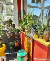 Apartament 2 camere, 50 mp, zona Pod Ros 