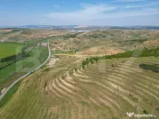 Teren, 2800 mp, Apahida 