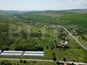 Teren, 2800 mp, Apahida 