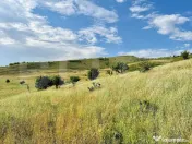 Teren, 2800 mp, Apahida 