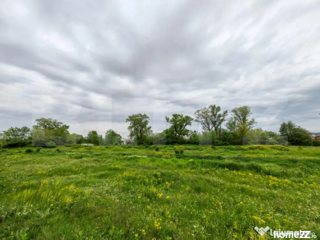 Teren intravilan, 2200 mp, Zona Abatorului - Sebes - Sebes (Alba)