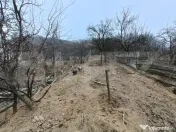 Casa renovabila 5 camere baie si anexe 2800 mp teren in Pi 