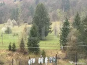 De vanzare teren Zarnesti (zona Gura Raului) 