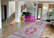 Vila Spatioasa Bucuresti 