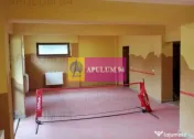 Vila Spatioasa Bucuresti 