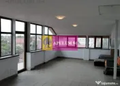 Vila Spatioasa Bucuresti 